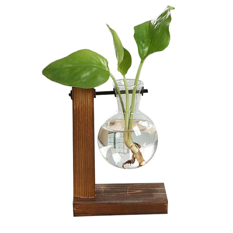 Terrarium Hydroponic Plant Vases Vintage Flower Pot Transparent Vase Wooden Frame Glass Tabletop Plants Home Bonsai Decor - Premium  from Yard Agri Supply - Just $7.99! Shop now at Yard Agri Supply