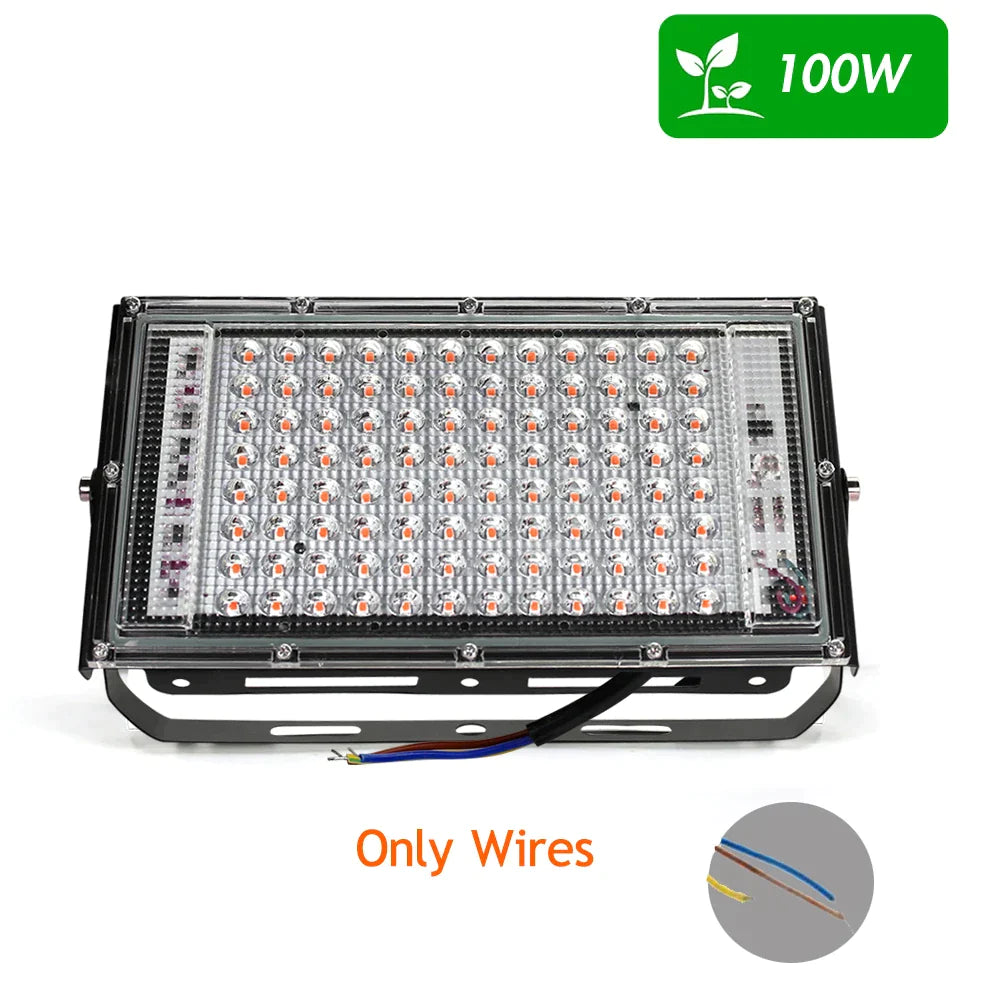 LED Grow Light 220V 100W 50W LED Full Spectrum Phyto Lamp For Plant Seeds Hydroponics Greenhouse Home Plants Growth Phytolamp - Premium  from Yard Agri Supply - Just $17.95! Shop now at Yard Agri Supply