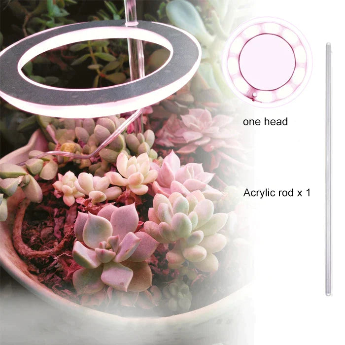Angel Three Ring Grow Light DC5V USB Phytolamp For Plants Led Full Spectrum Lamp For Indoor Plant Seedlings Home Flower Succulet - Premium  from Yard Agri Supply - Just $35.95! Shop now at Yard Agri Supply