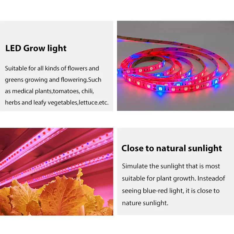 LED Plant Grow Strip lights Full Spectrum Flower phyto lamp Waterproof for Greenhouse Hydroponic Growth Light +Power adapter - Premium  from Yard Agri Supply - Just $3.99! Shop now at Yard Agri Supply