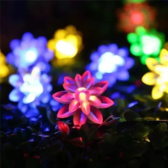 LED Outdoor Water Drops Solar Lamp String Lights 100/50/30/20LEDs Fairy Holiday Christmas Party Garland Garden Waterproof - Premium  from Yard Agri Supply - Just $12.95! Shop now at Yard Agri Supply