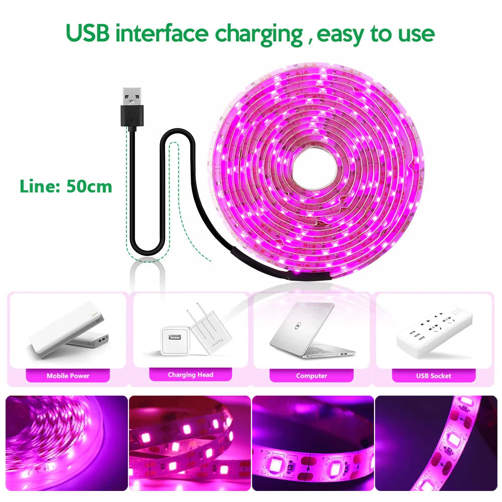 5V USB Led Plant Growing Light 2M 5M Full Spectrum Hydroponic Grow Lamps Indoor Plants Greenhouse Flowers Seeds Phyto Lamp Strip - Premium  from dser - Just $8.95! Shop now at Yard Agri Supply