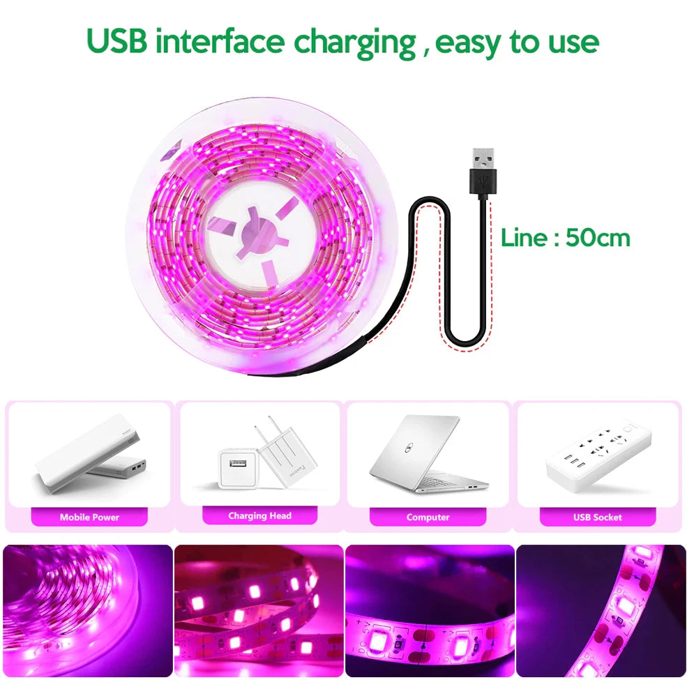 DC 5V USB Led Plant Grow Lights Full Spectrum Phyto Lamp 2m 3m Strip For Seeds Flower Greenhouse Tent Hydroponic Plants Lighting - Premium  from dser - Just $8.95! Shop now at Yard Agri Supply