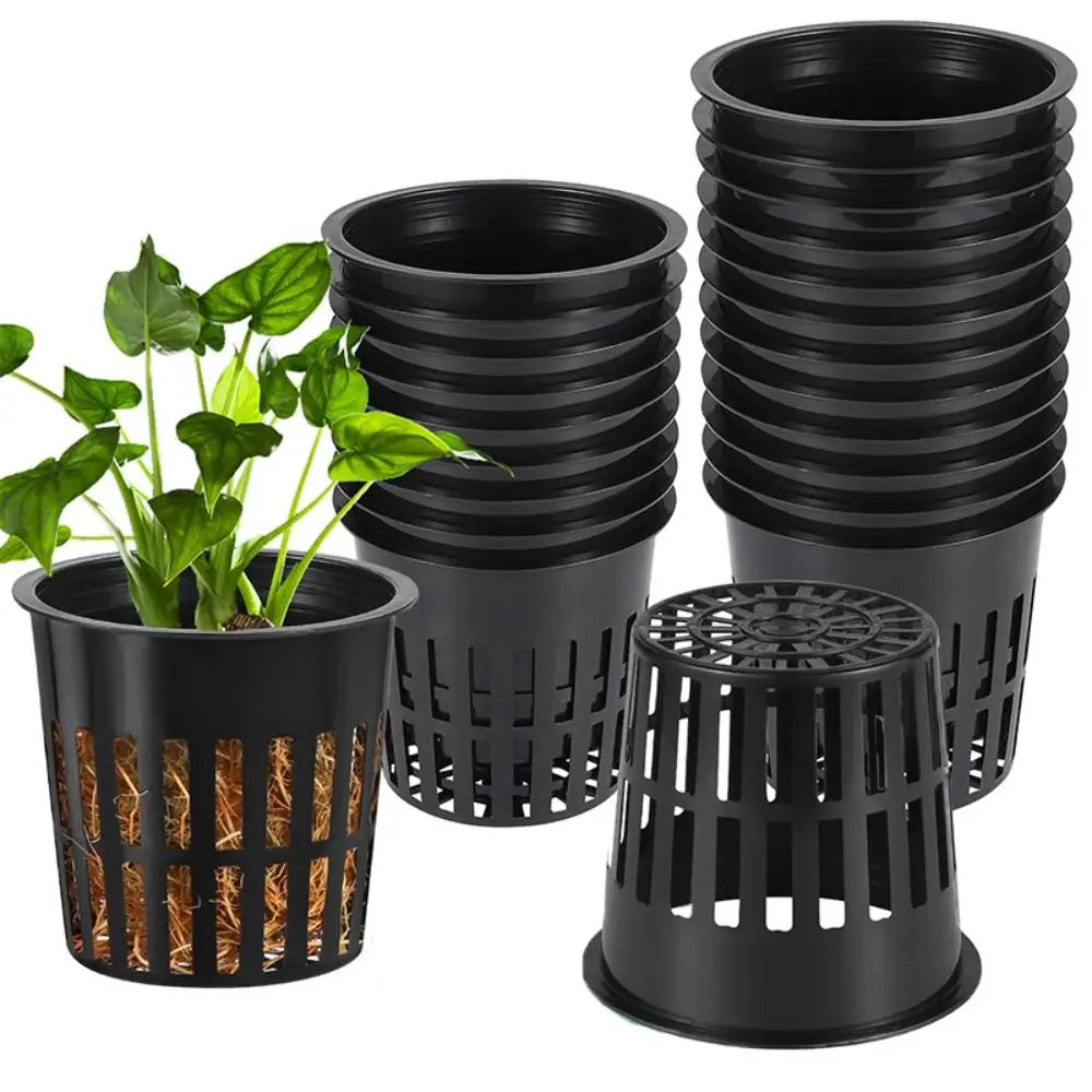 10pcs Hydroponic Basket Garden Vegetable Soilless Grow Net Pot Aeroponics Plastic Planting Mesh Pots Plant Nursery Trays - Premium  from dser - Just $8.95! Shop now at Yard Agri Supply