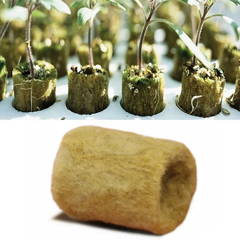 50-200Pcs Planting Sponge Grow Sponge Seed Seedling Grow Plug Plant Hydroponic Propagation For Home Garden Accessories Tools - Premium  from dser - Just $12.95! Shop now at Yard Agri Supply