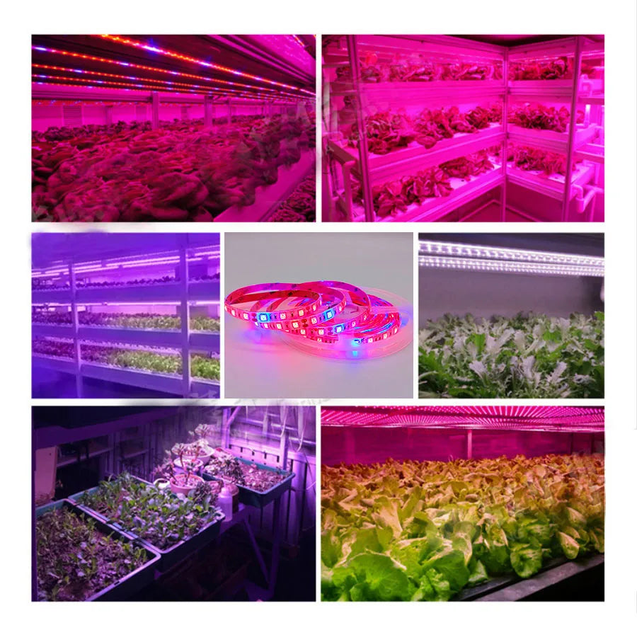 LED Plant Grow Strip lights Full Spectrum Flower phyto lamp Waterproof for Greenhouse Hydroponic Growth Light +Power adapter - Premium  from Yard Agri Supply - Just $3.99! Shop now at Yard Agri Supply