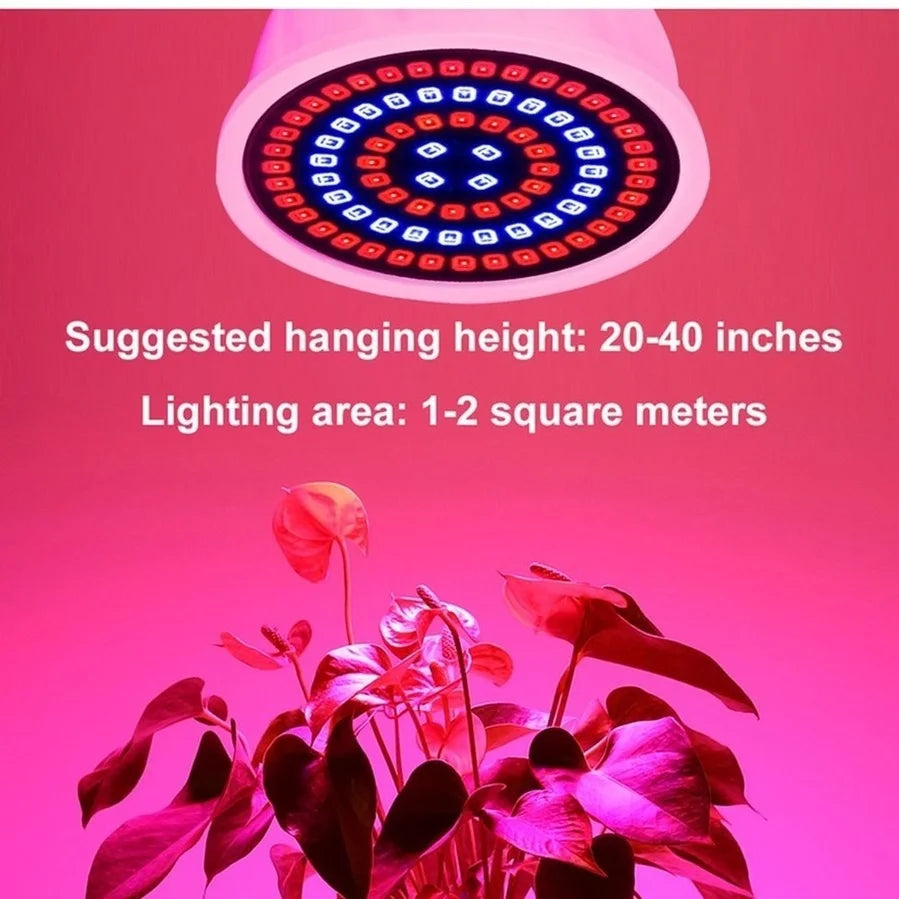 3PCS LED Grow Full Spectrum Bulb E27 E14 GU10 MR16 220V Greenhouse Hydroponic Lamp Grow Light For Indoor Plant Phyto FlowerLamp - Premium  from dser - Just $11.95! Shop now at Yard Agri Supply