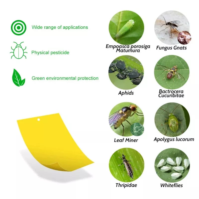 5/10/20pcs Yellow Greenhouse StickyTraps Bugs Sticky Board Multiple Flying Insect Catching Control Sticker Double-sided - Premium  from Yard Agri Supply - Just $5.95! Shop now at Yard Agri Supply