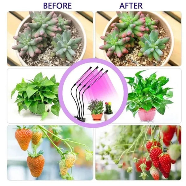 USB LED Plant Grow Light Indoor Garden 10 Dimmable Levels Grow Light Full Spectrum Timer Setting Hydroponic Greenhouse 3H/9H/12H - Premium  from dser - Just $24.95! Shop now at Yard Agri Supply