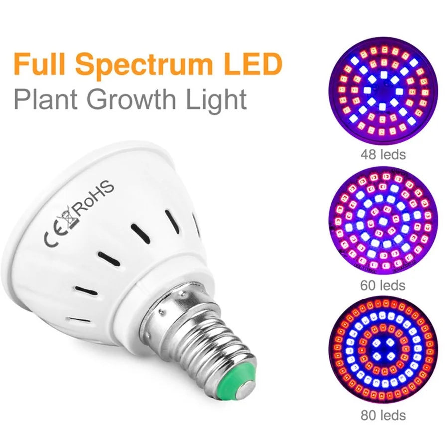 3PCS LED Grow Full Spectrum Bulb E27 E14 GU10 MR16 220V Greenhouse Hydroponic Lamp Grow Light For Indoor Plant Phyto FlowerLamp - Premium  from dser - Just $11.95! Shop now at Yard Agri Supply