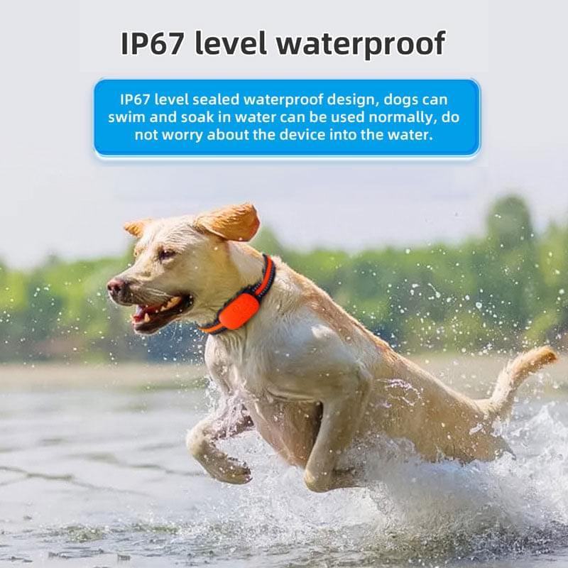 4G Pet Locator Gps Beidou Cat Dog Sheep Positioning Anti Loss Waterproof Collar Grazing Positioning Tracker - Premium  from eprolo - Just $71.34! Shop now at Yard Agri Supply
