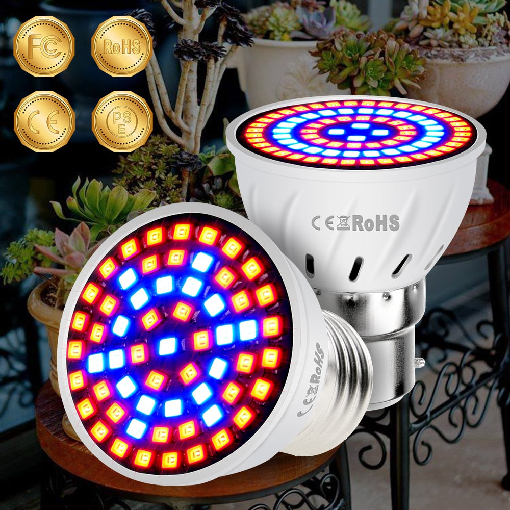Phyto Led B22 Hydroponic Growth Ligh - Premium  from Yard Agri Supply - Just $26.94! Shop now at Yard Agri Supply