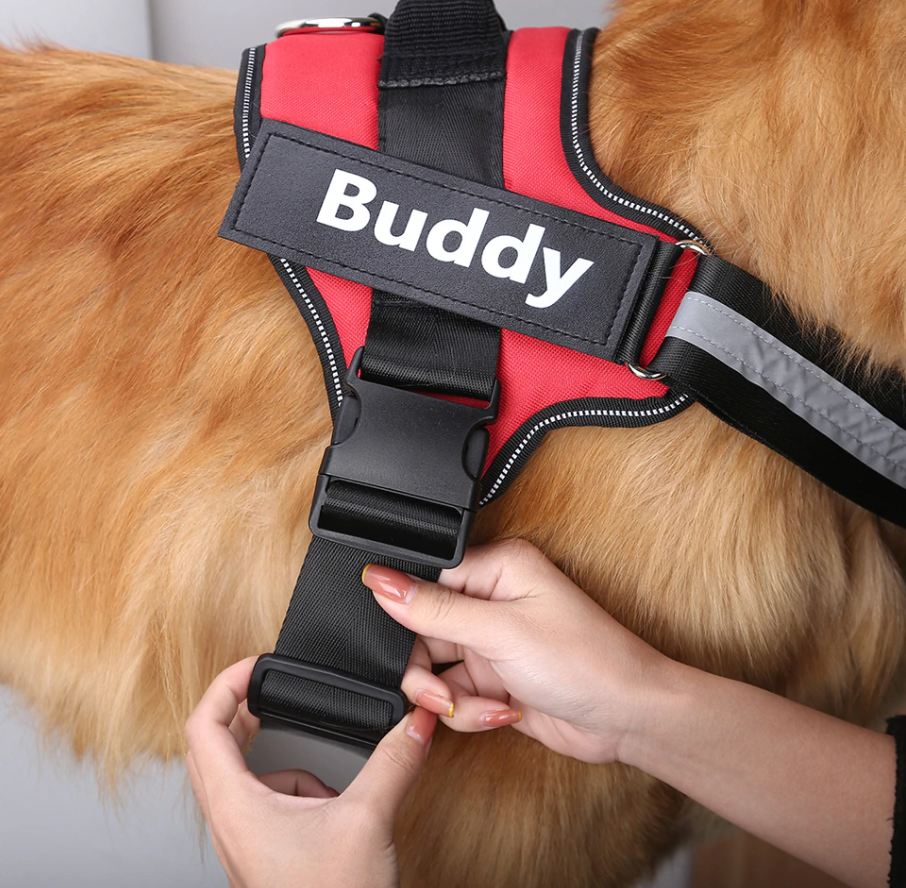 Custom Name Dog Harness - Premium  from Podify - Just $29.95! Shop now at Yard Agri Supply