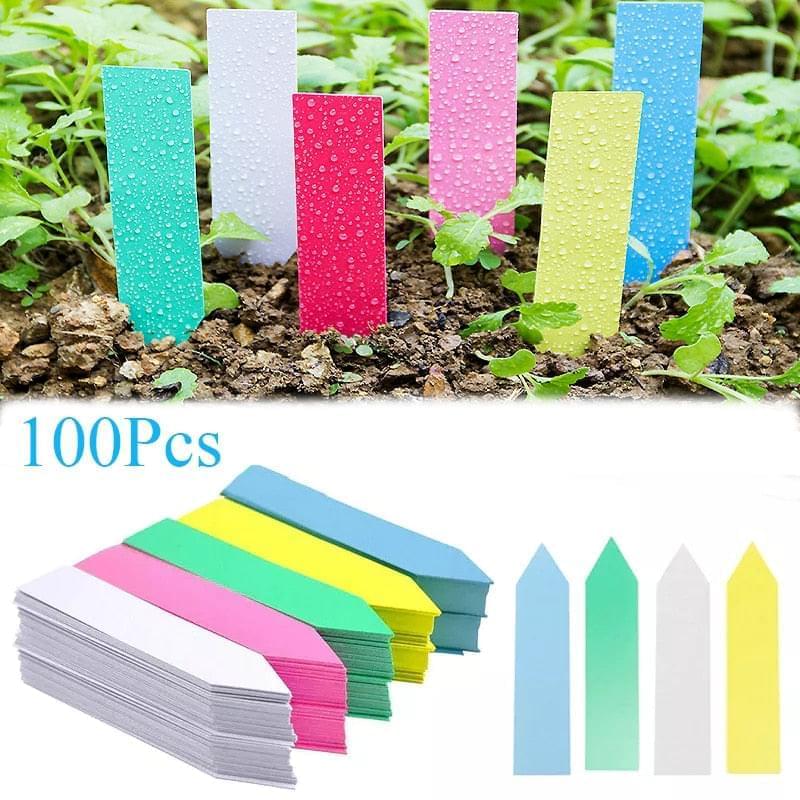 100Pcs Plastic Labels Nursery Seedling Tray - Premium  from Yard Agri Supply - Just $5.56! Shop now at Yard Agri Supply