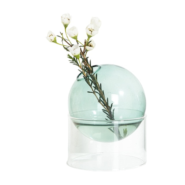 Hydroponic Glass Vase - Premium  from Yard Agri Supply - Just $37.62! Shop now at Yard Agri Supply